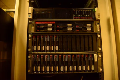 DSC_1367 (Large).JPG